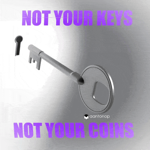 A lock and key model. "Not your keys, not your coins" which appears to be glitching on the upper and lower part of the key.
