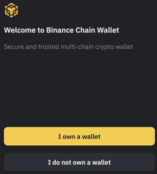 Binance Chain Wallet login prompt message.