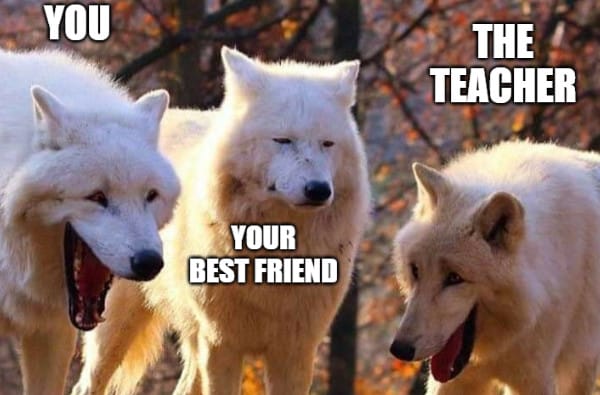 A meme showing three wolves, a screaming one represents yourself, a bestfriend wolf ready to bite, and a teacher wolf who is afraid.